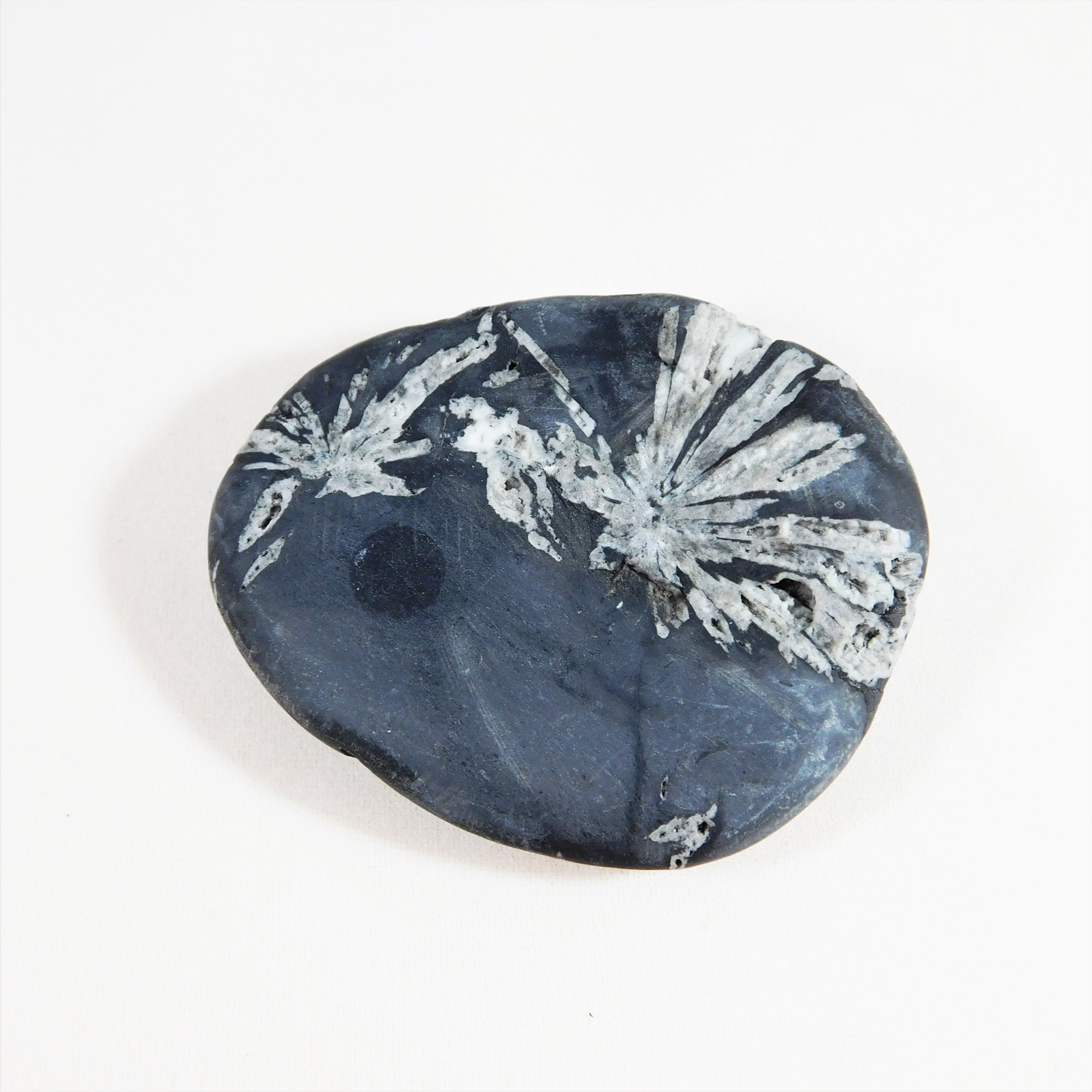 Chrysantemum Stone