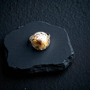 Hand-stamped Merlin's Gold celestial dome ring with a scalloped sterling silver bezel and braided band.